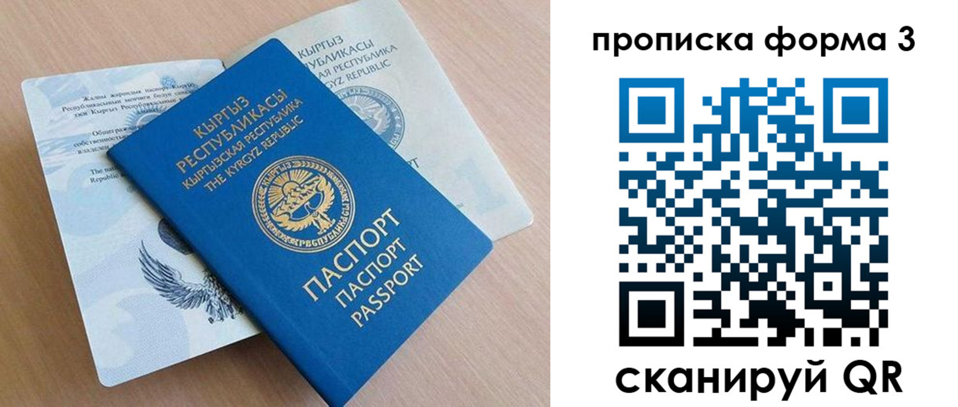 где прописаться в Кингисеппе